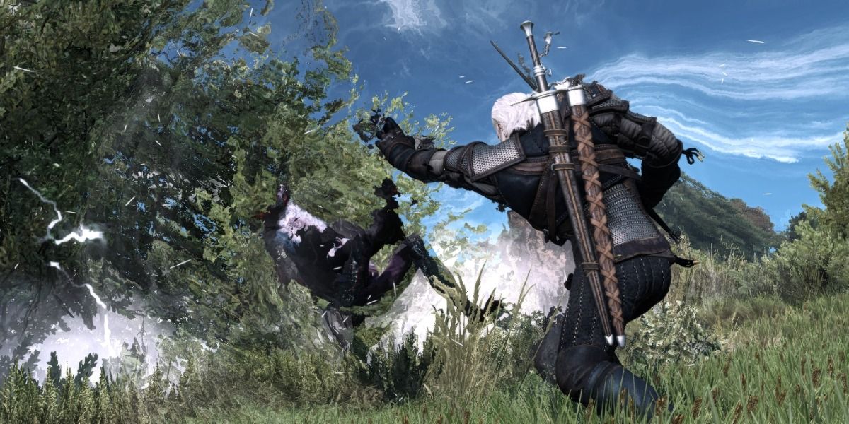 witcher 3 aard 2