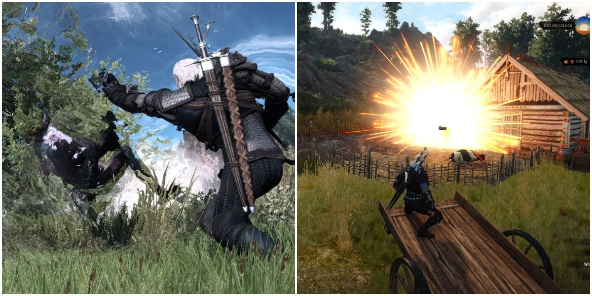 The Witcher 3: 10 Things You Didn't Know About Wyverns