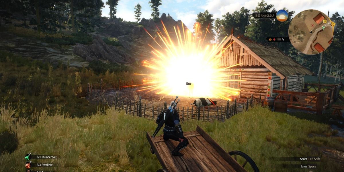 witcher 3 grapeshot