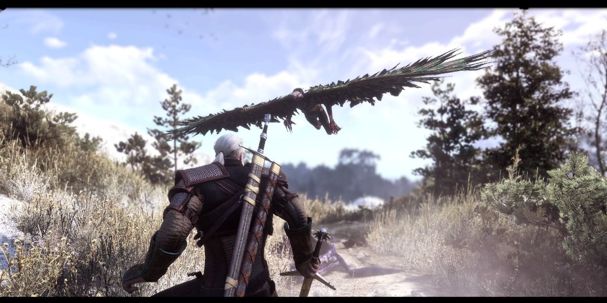 witcher 3 harpy attack