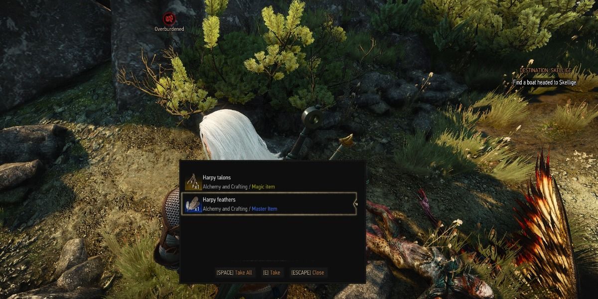 witcher 3 harpy loot