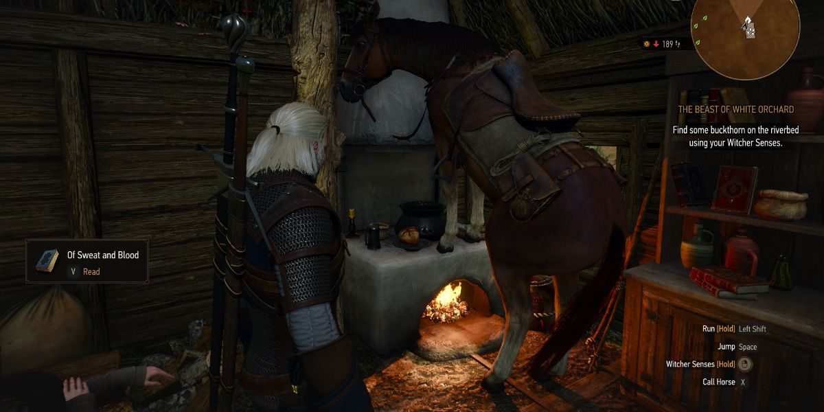 witcher 3 of sweat and blood 2