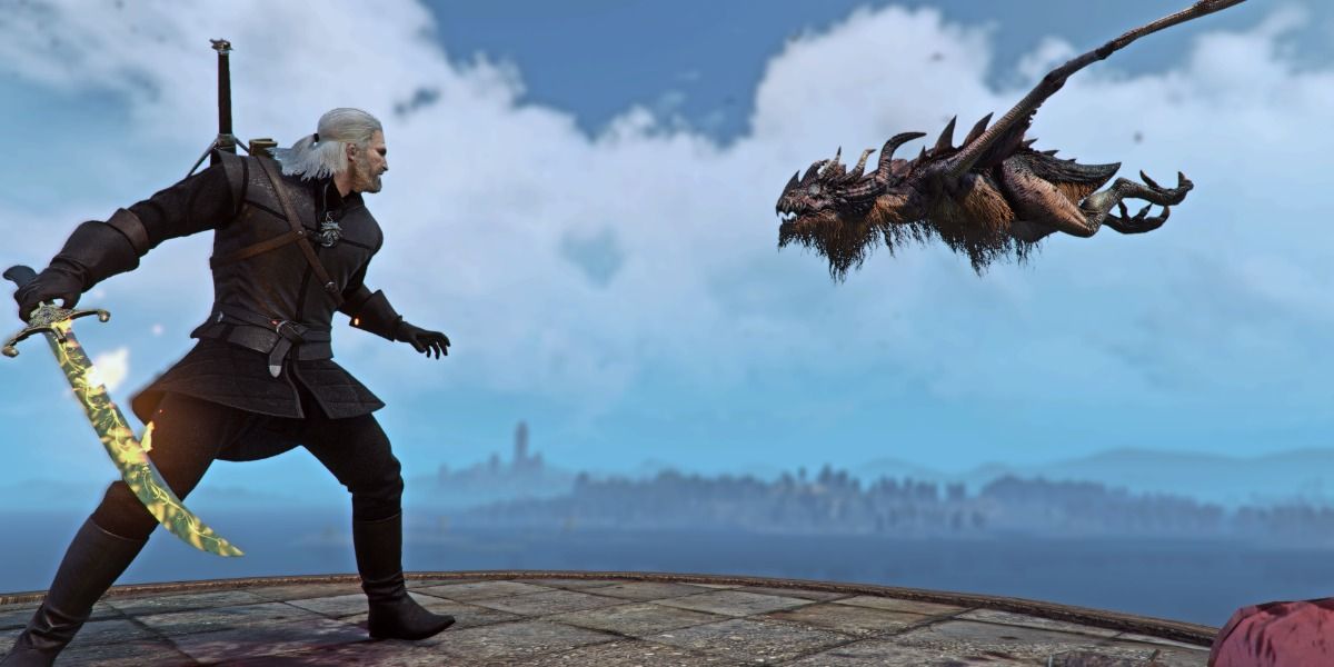 witcher 3 wyvern attack 2