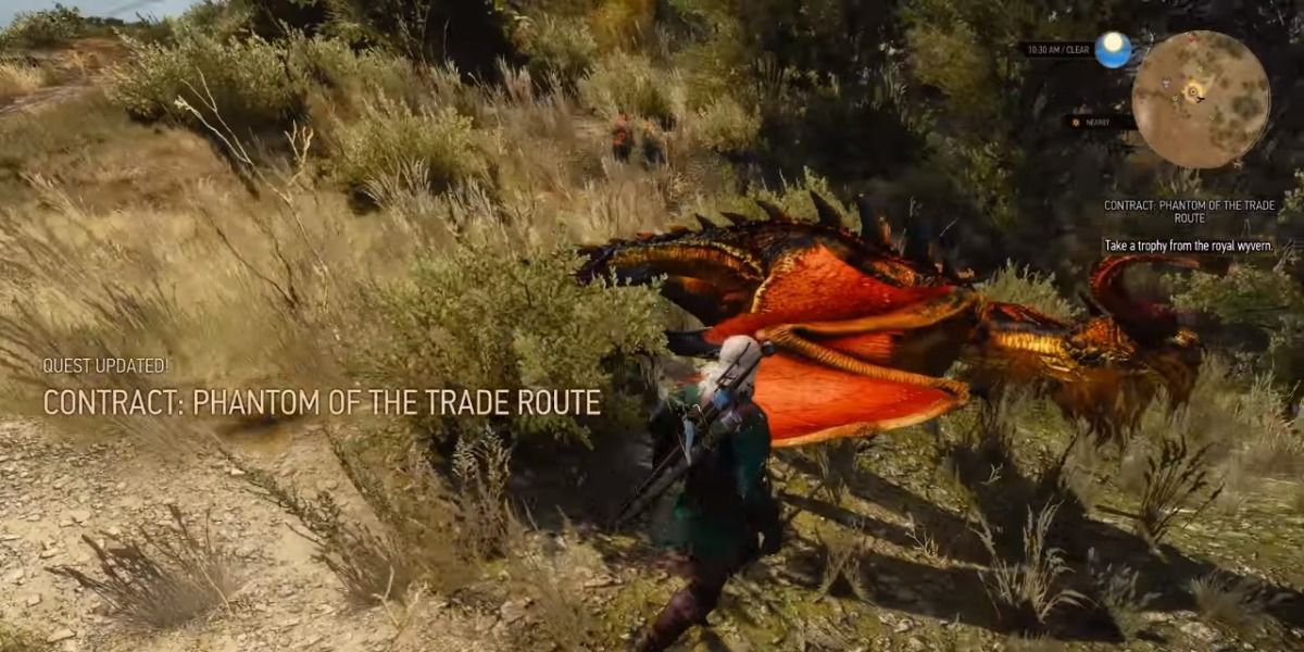 The Witcher 3: 10 Things You Didn't Know About Wyverns