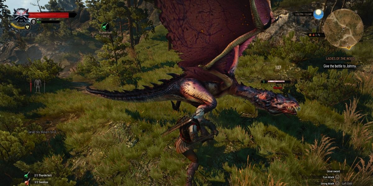 witcher 3 wyvern