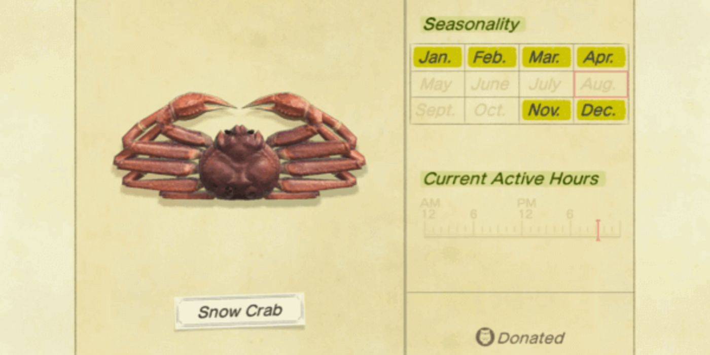 Animal Crossing New Horizons 10 Rarest Items You Can Find In Uncharted Waters