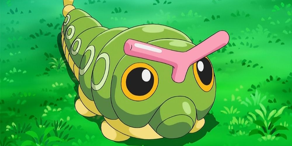 caterpie