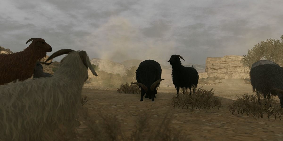 Lots of sheep in Afghanistan from Metal Gear Solid 5 The Phantom Pain