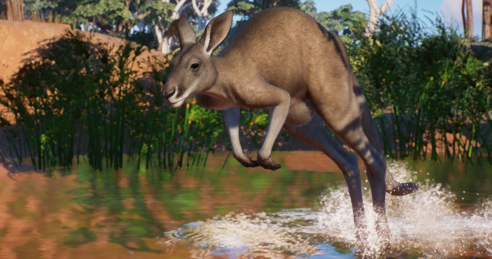 Planet Zoo Becomes Outback Inspired With New Australian DLC And A Free  Content Update 