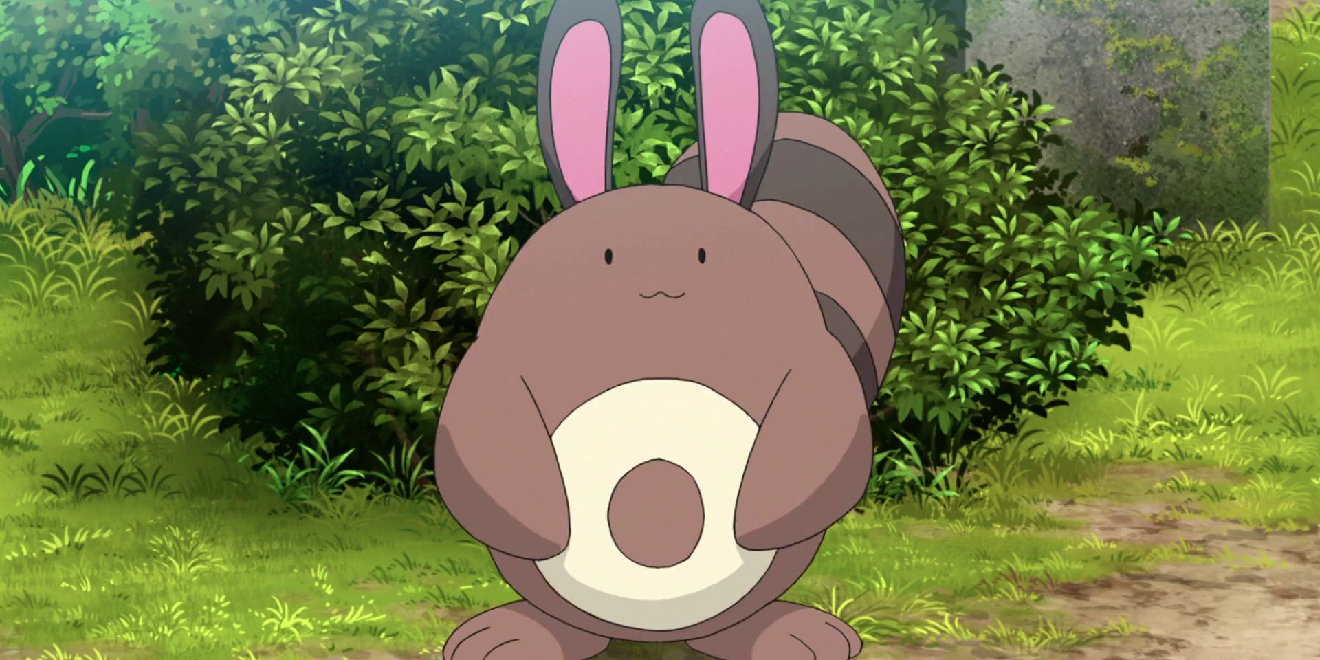 Sentret smiles on the forest floor in the Pokemon Anime.