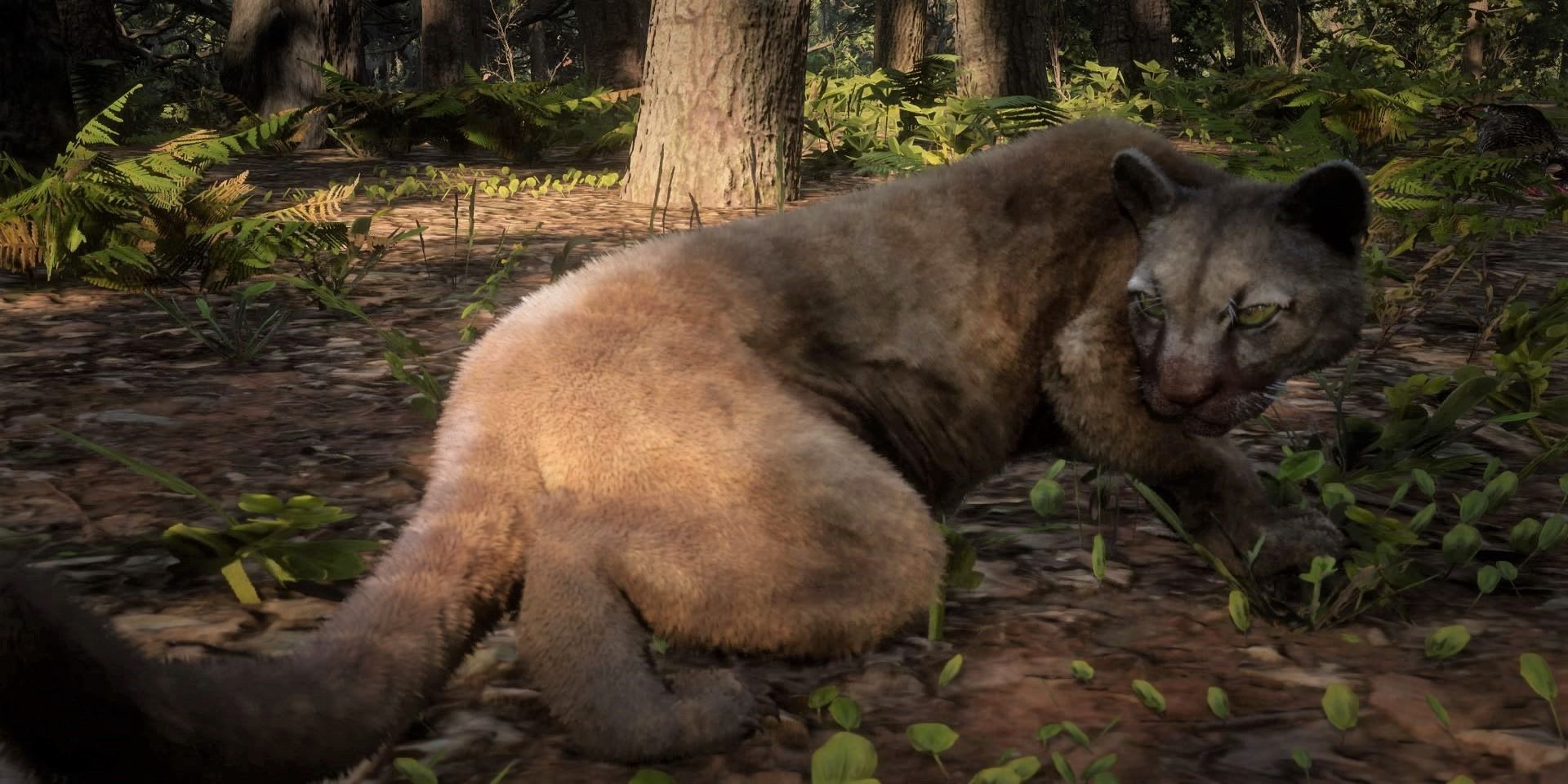 Red Dead Redemption 2 Panther In Forest