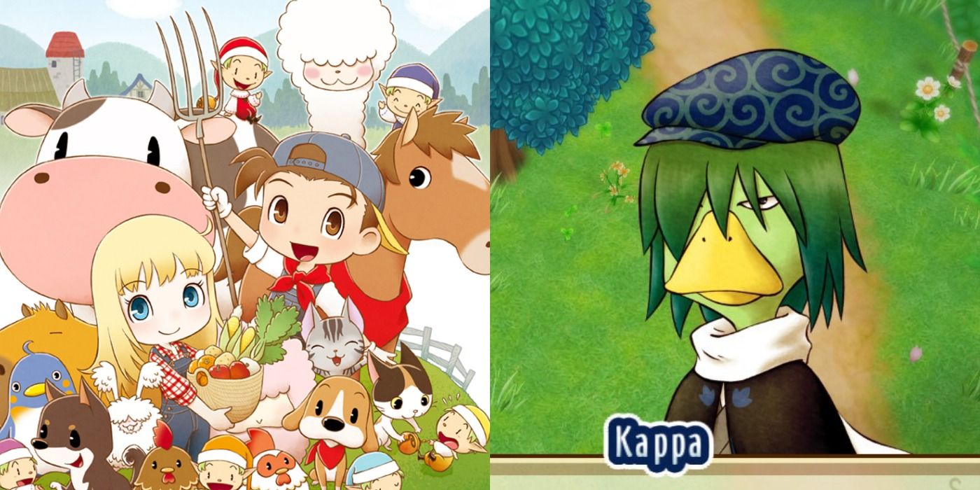 Story Of Seasons: How To