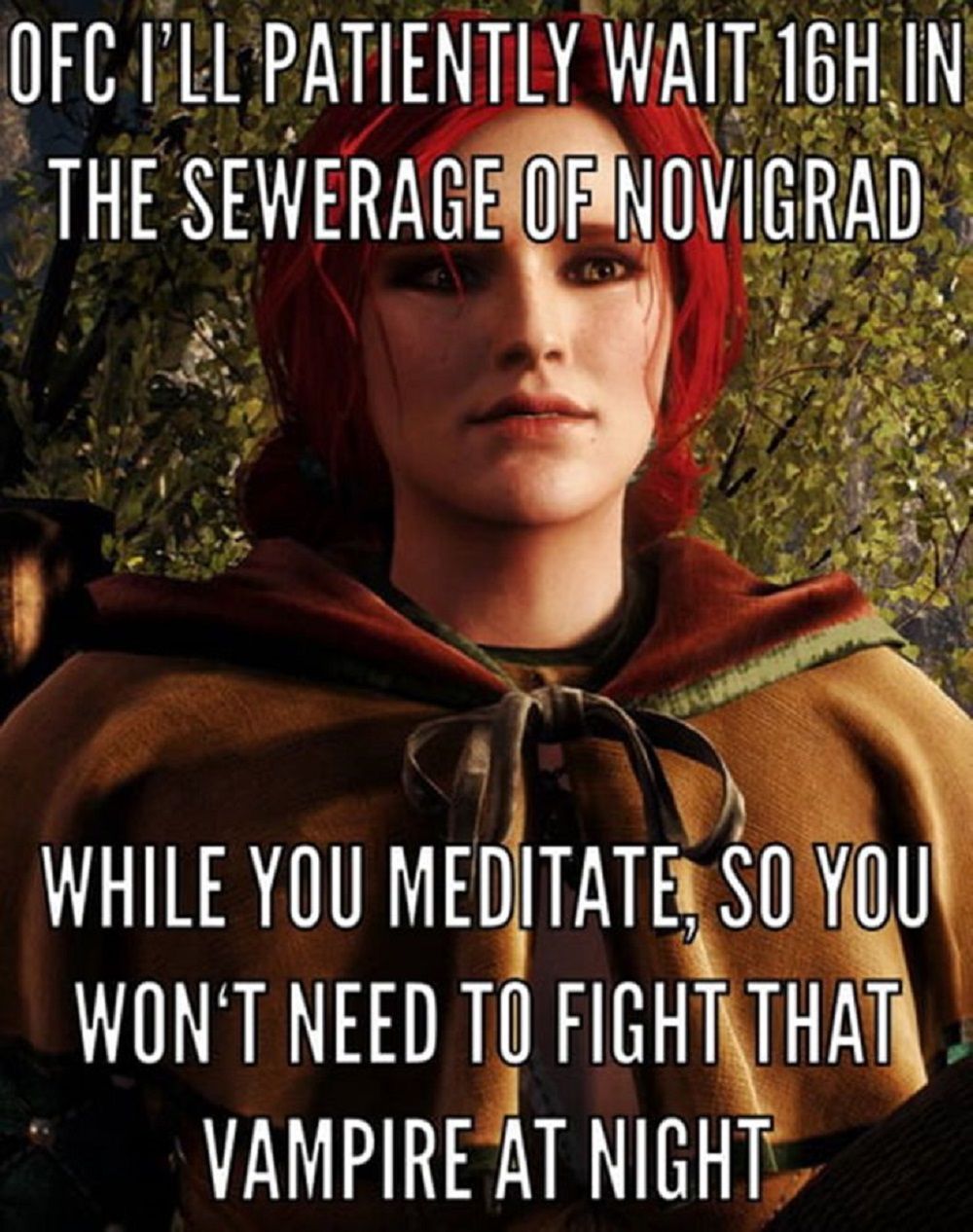Witcher-Triss-Waiting-Meme