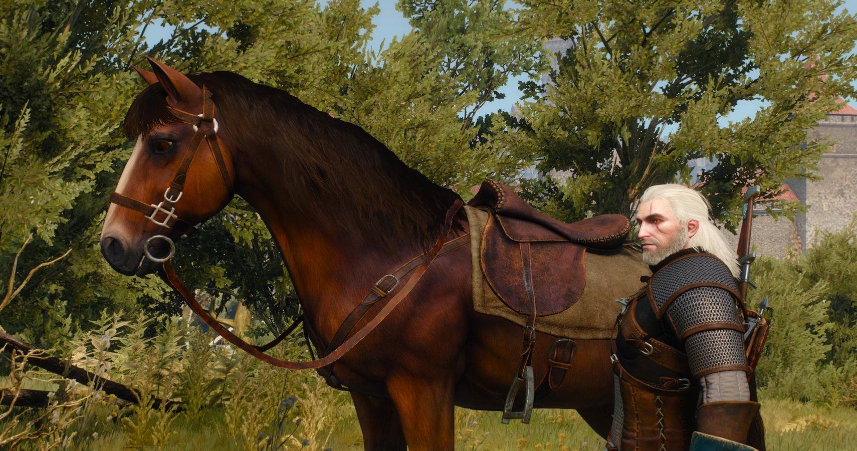 The Witcher 3 Roach