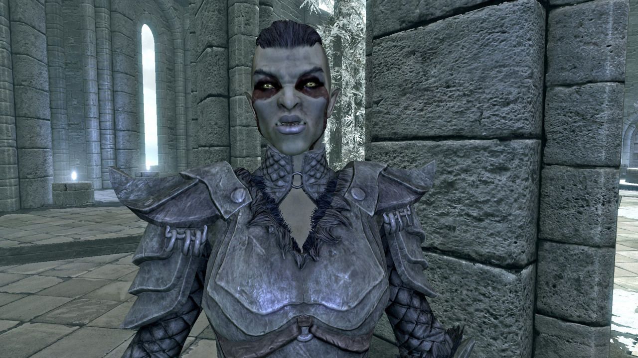 Skyrim: All 10 Playable Races Ranked According to Height