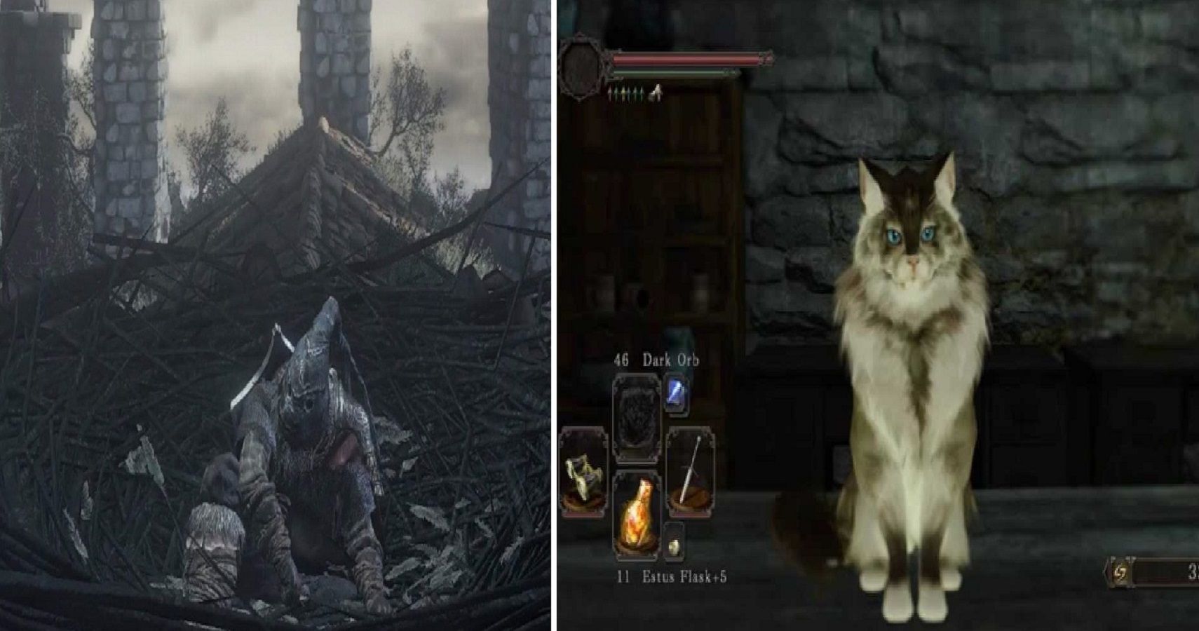 Dark Souls: Pickle Pee & 9 Other Extra Weird NPCs In The Series