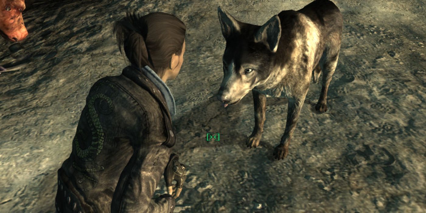 Fallout 3 Player With Dogmeat