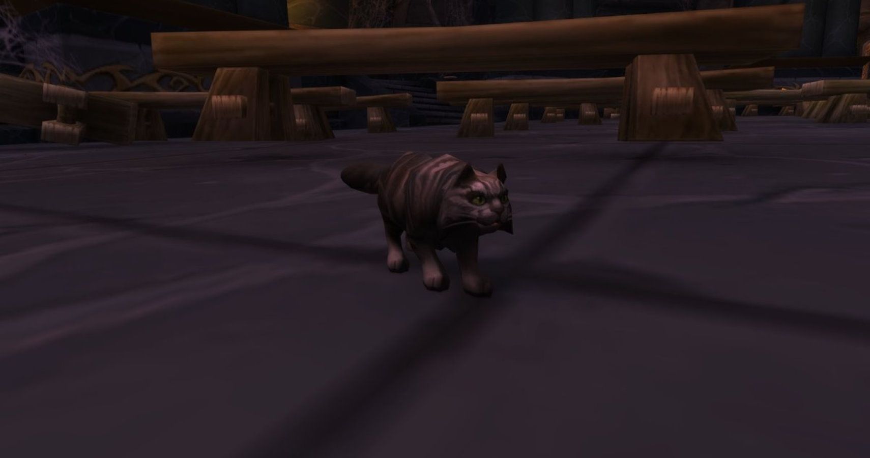 World Of Warcraft Players Find Jenafur The Mysterious Void Cat