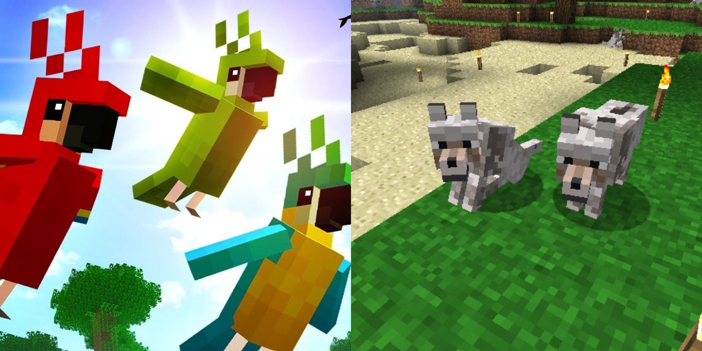 Minecraft: How To Tame Every Animal You Can