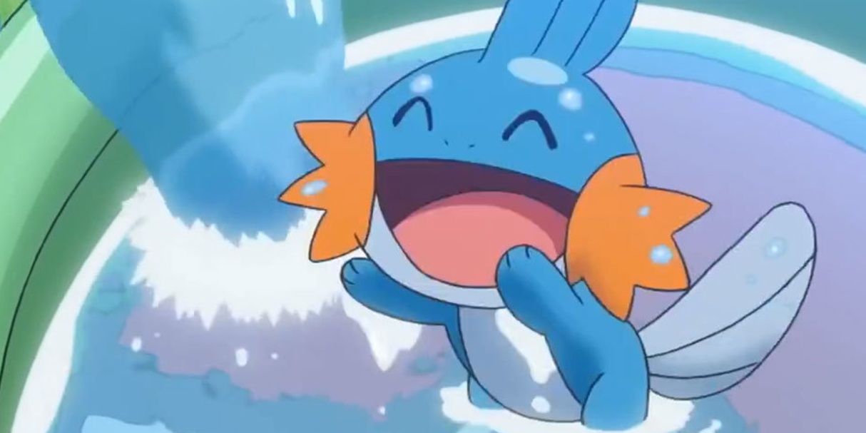 Mudkip playing in the water
