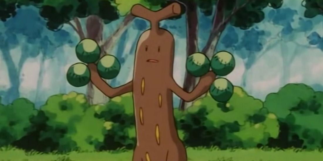 我注意到你们中有些人不喜欢 Sudowoodo