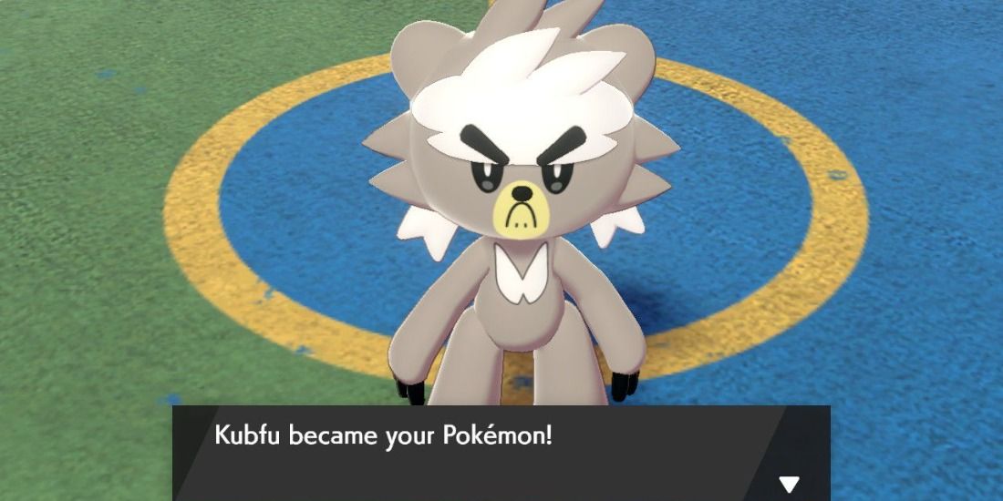 A trainer recieving a grumpy Kubfu in Pokémon Sword & Shield