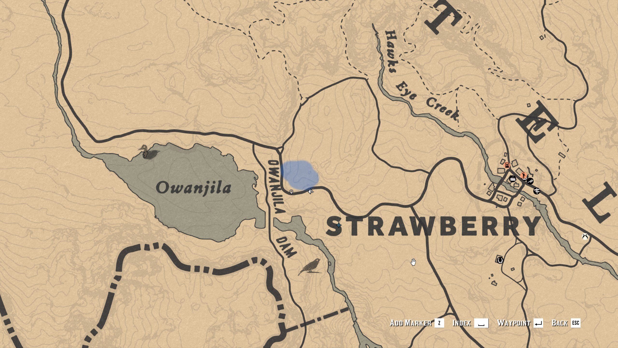 RDR2 Eagle Map Location