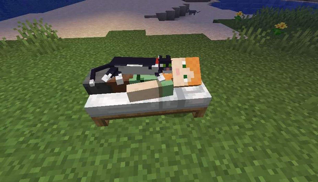 Cat Sitting On Bed/Human - Minecraft