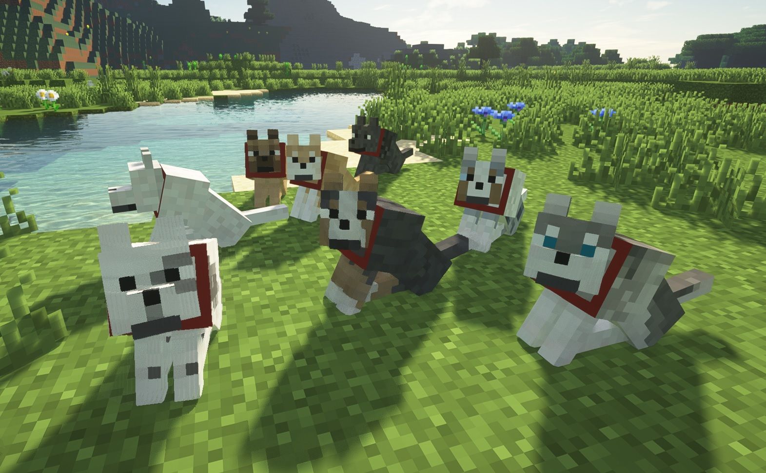 Dogs/Wolves Sitting - Minecraft 