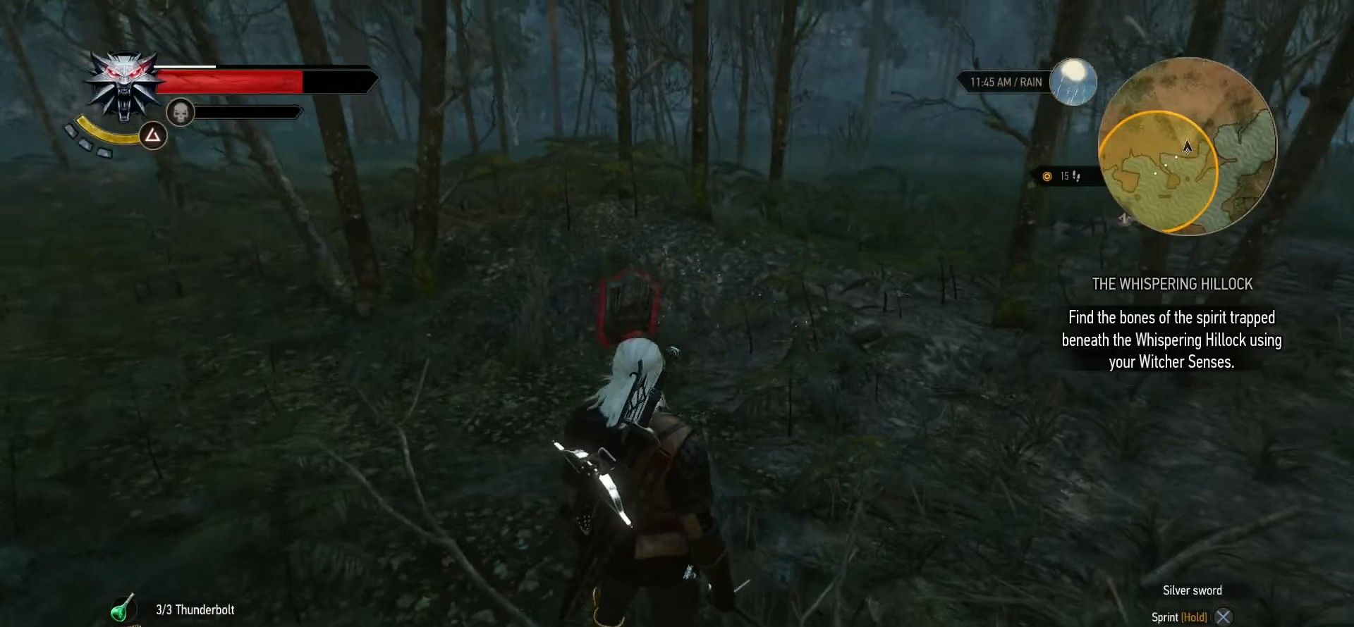 Witcher 3 whispering hillock before ladies of the wood