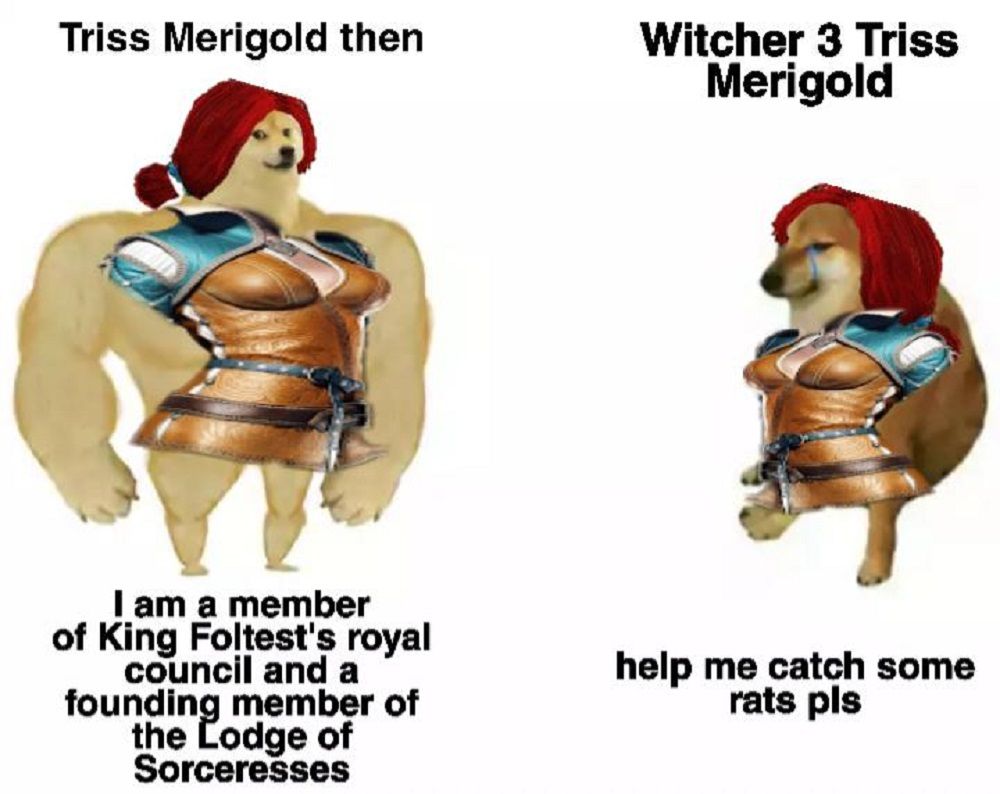Triss council meme