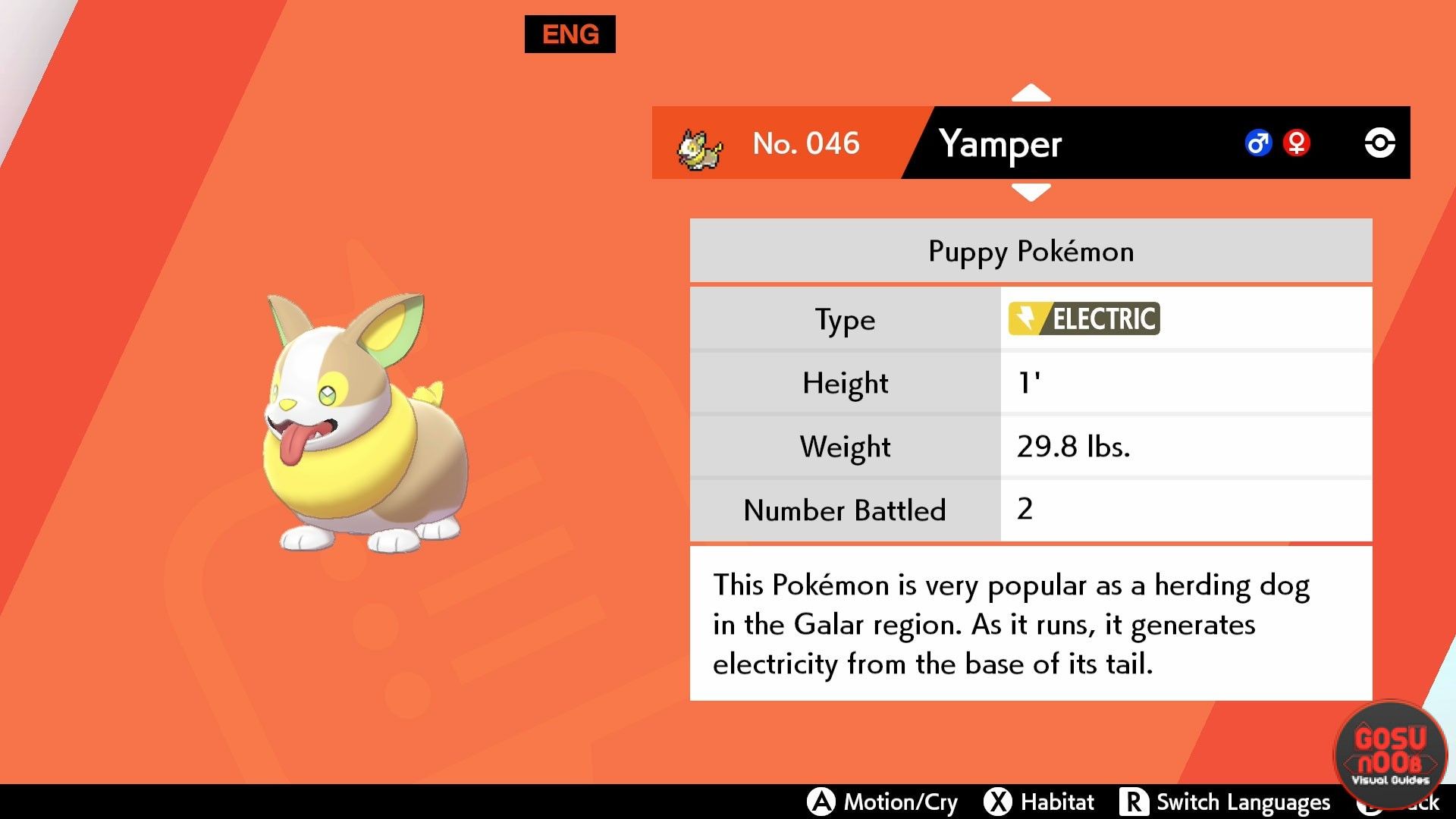 Pokémon Sword & Shield What Level Does Yamper Evolve & 9 Other Things