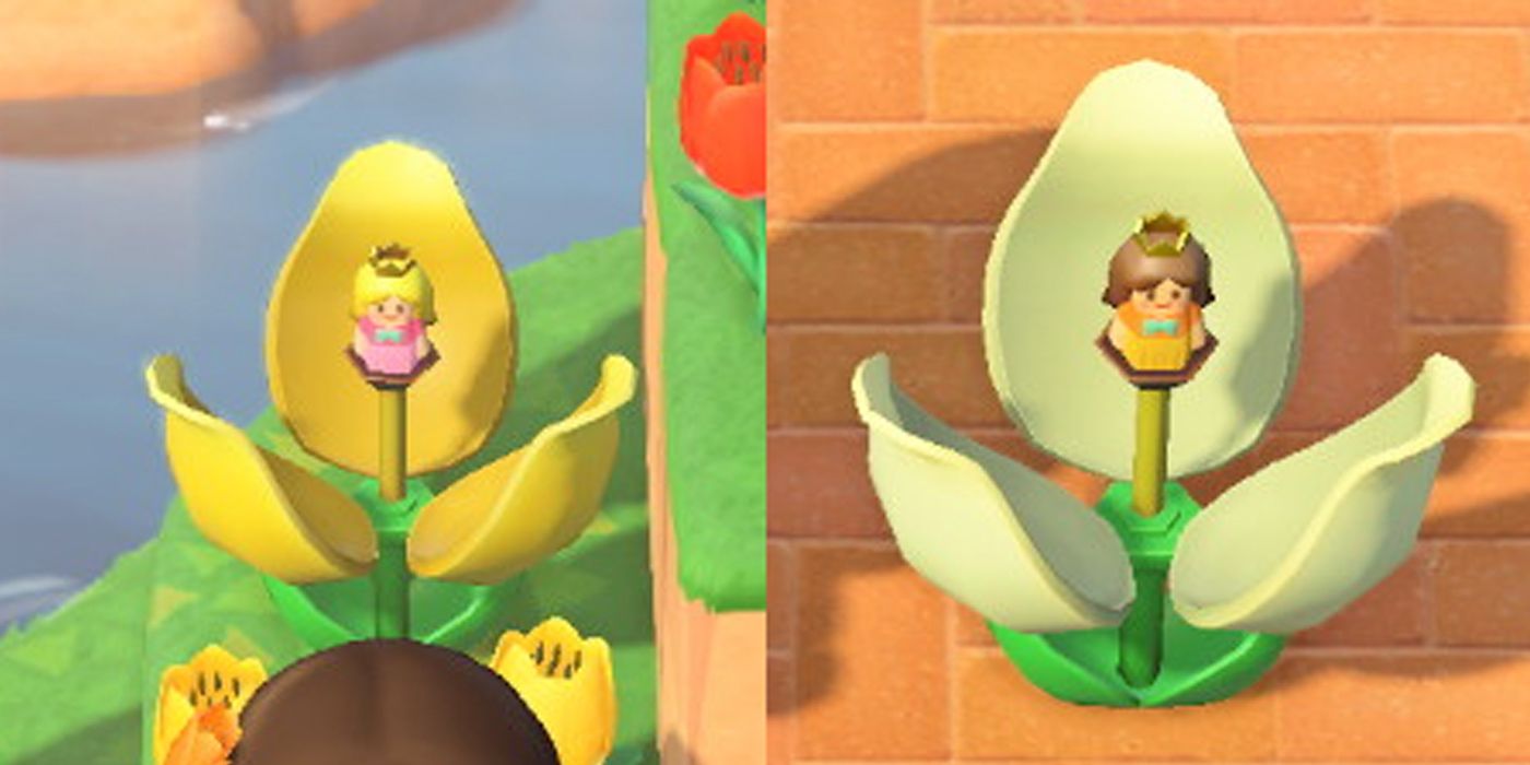Animal Crossing: New Horizons peach daisy