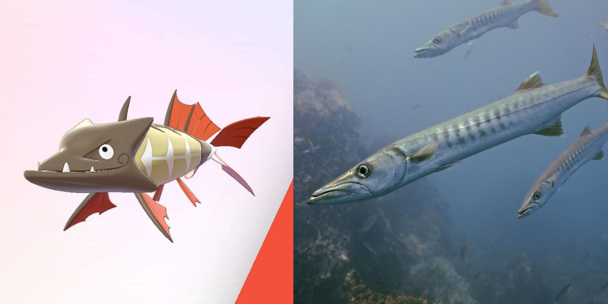 a split picture of pokemon barraskewda and a barracuda fish