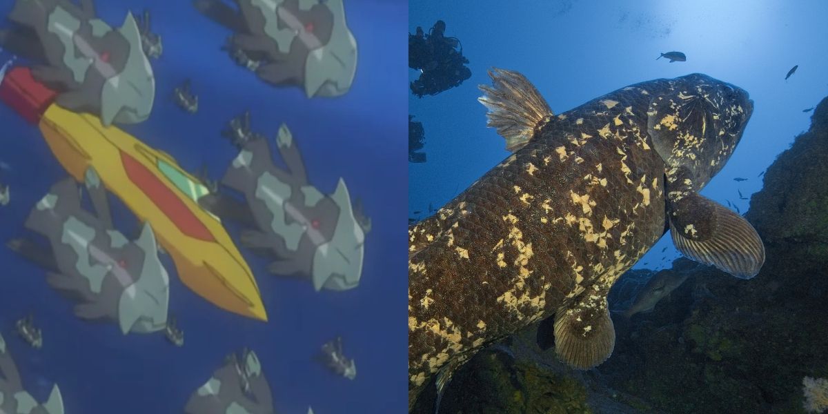 a split picture of pokemon relicanth and a coelacanth