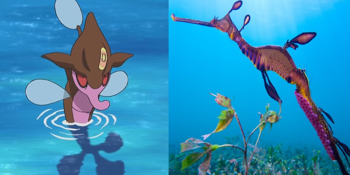 a split picture of pokemon skrelp and a weedy sea dragon