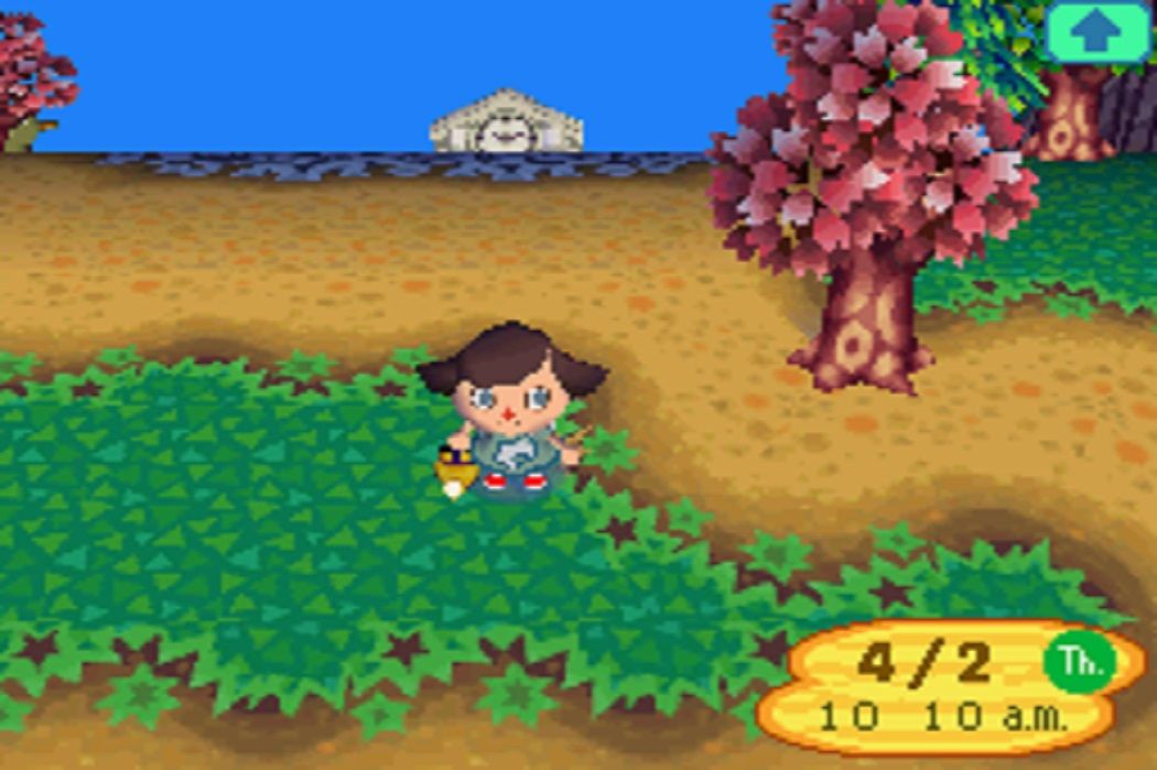 The player character holding a watering can in Animal Crossing: Wild World