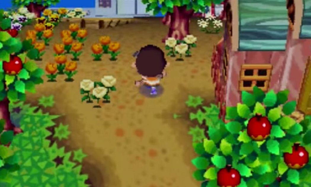 A screenshot of Animal Crossing: Wild World gameplay