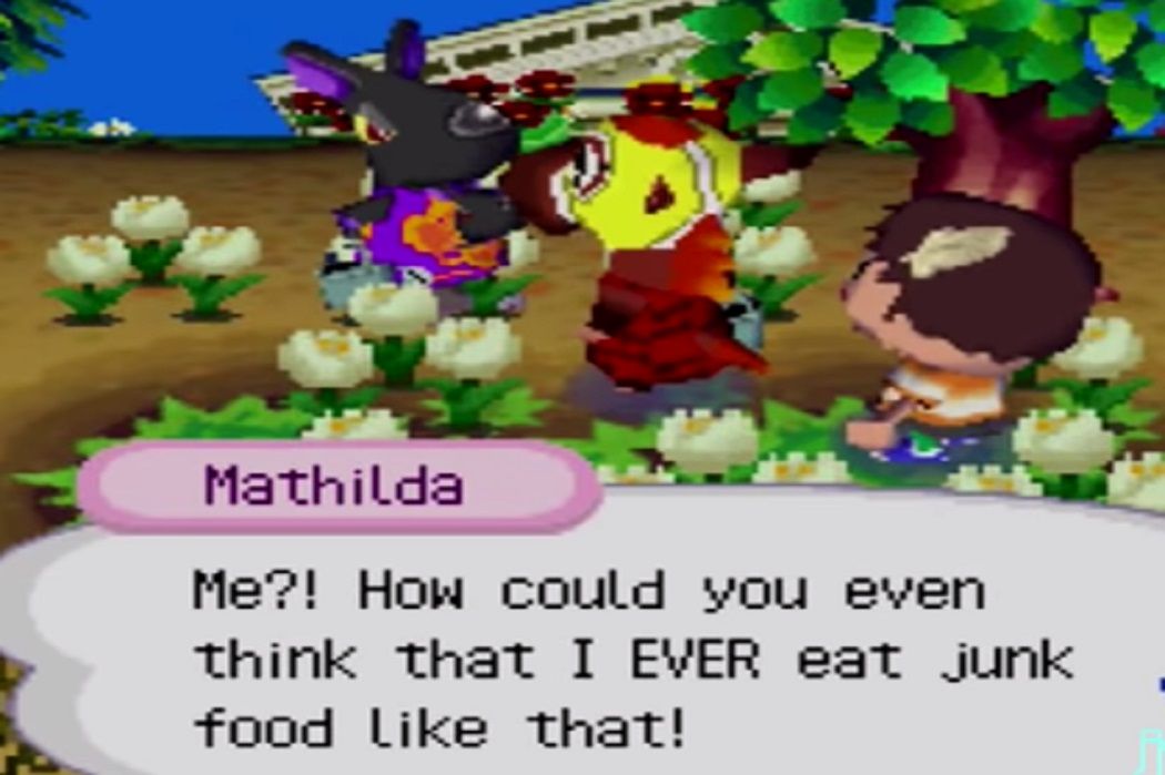 Two villagers talking next to the player character in Animal Crossing: Wild World