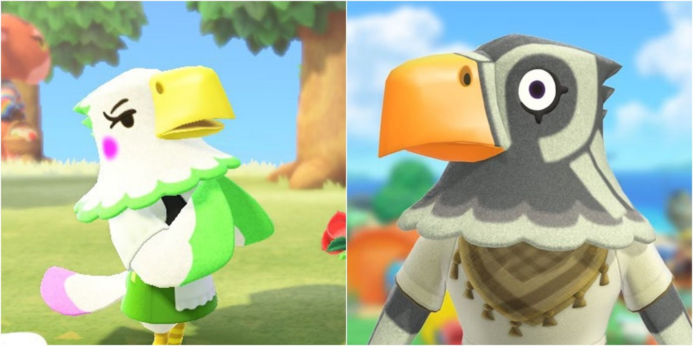 Animal Crossing: The 9 Best Eagle Villagers To Get On Your Island, Ranked