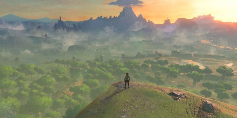 Breath Of The Wild - Looking Over The World