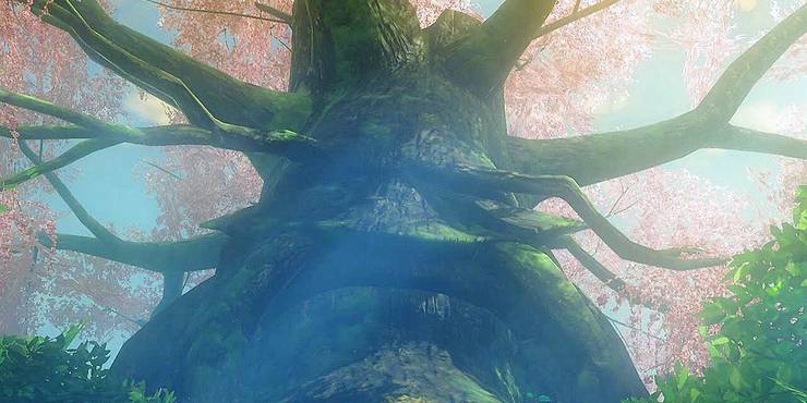 Korok Forest