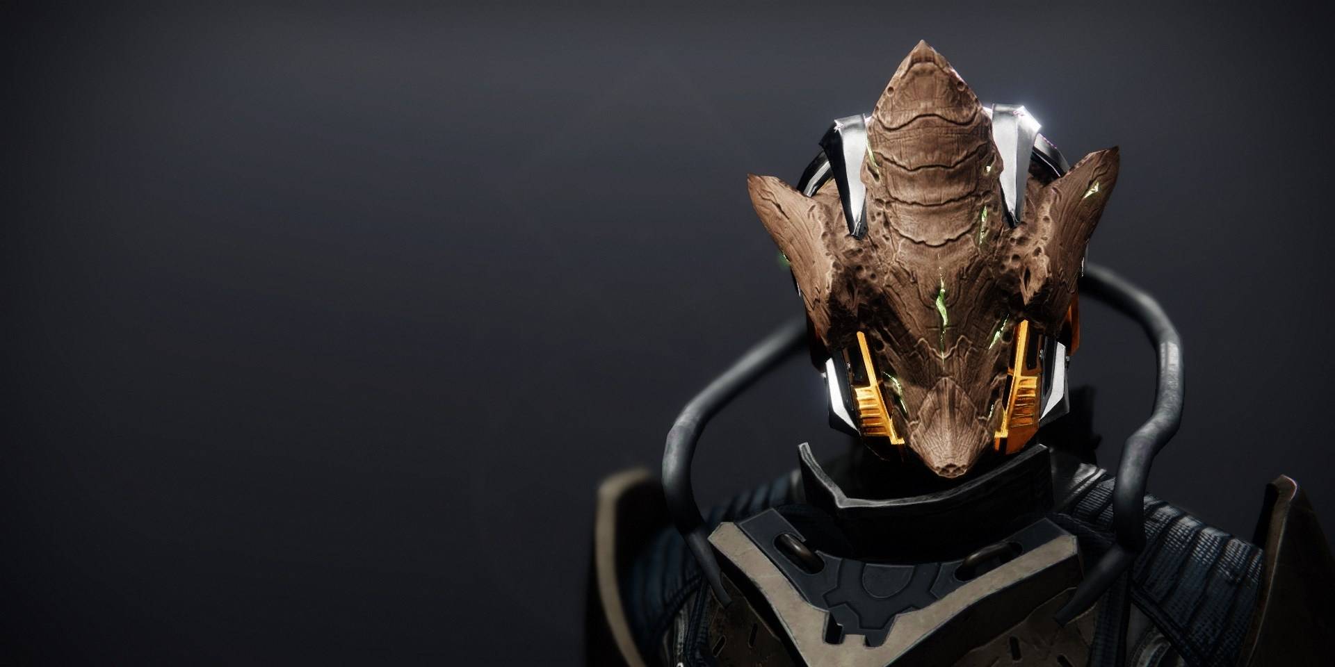 15++ Veritys brow ornament