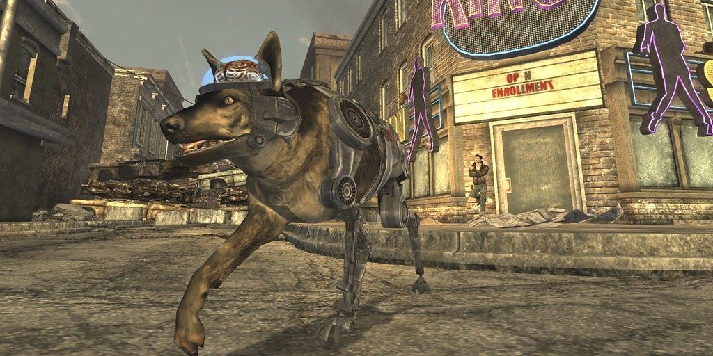 best companion in fallout new vegas