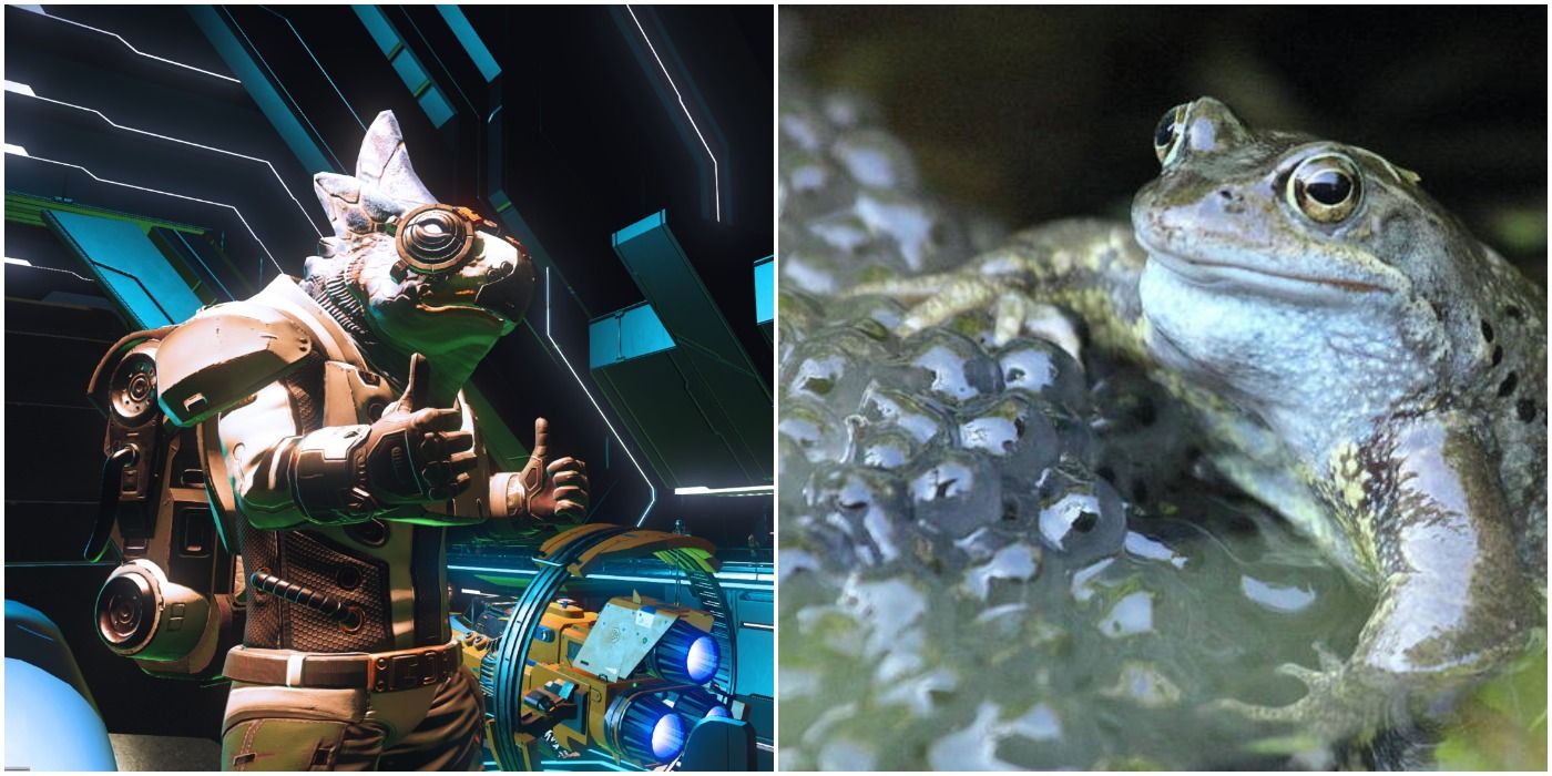 image of a Gek in No Man's Sky giving a thumbs up next to a frog guarding its eggs