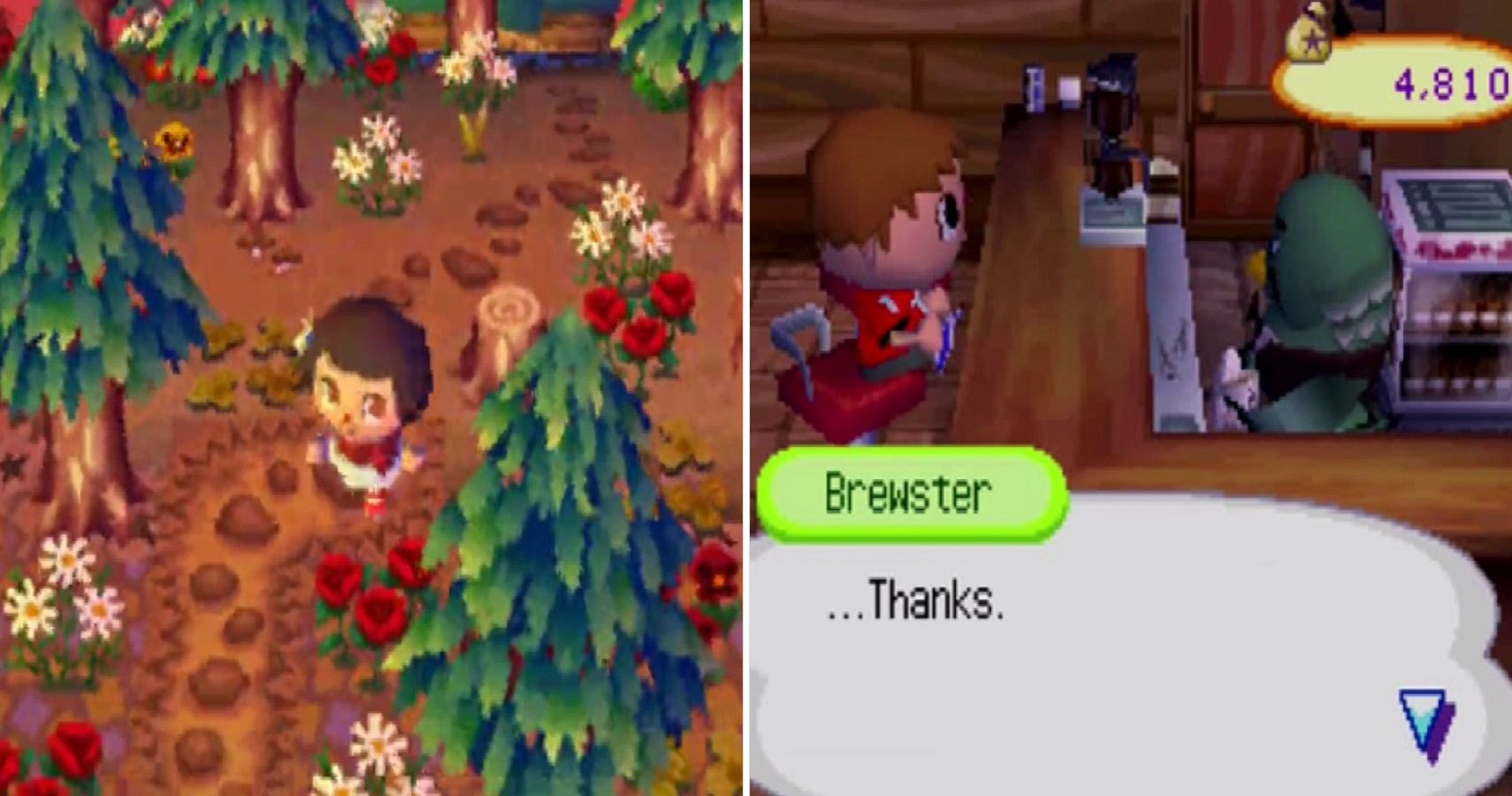 Here's Why Animal Crossing: Wild World Was The Best In The Series
