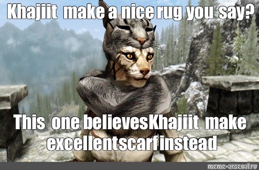 Elder Scrolls 10 Hilarious Khajiit Memes
