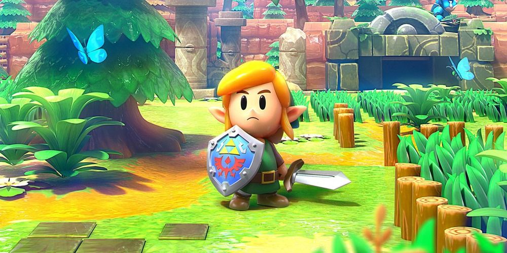 Link's Awakening - Link Holding A Sword And Shield In The Forest