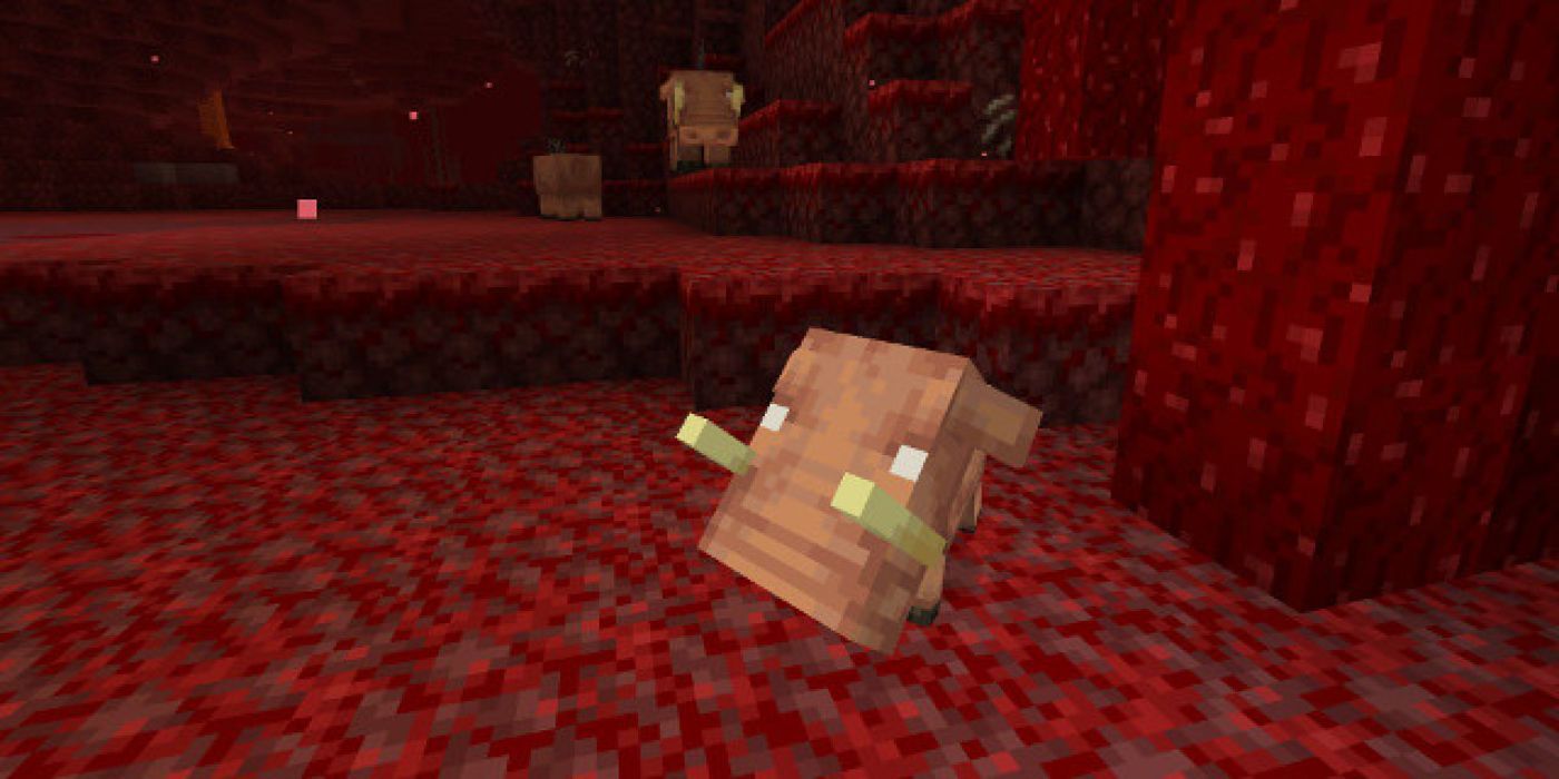 Minecraft Baby Hoglin In Crimson Forest