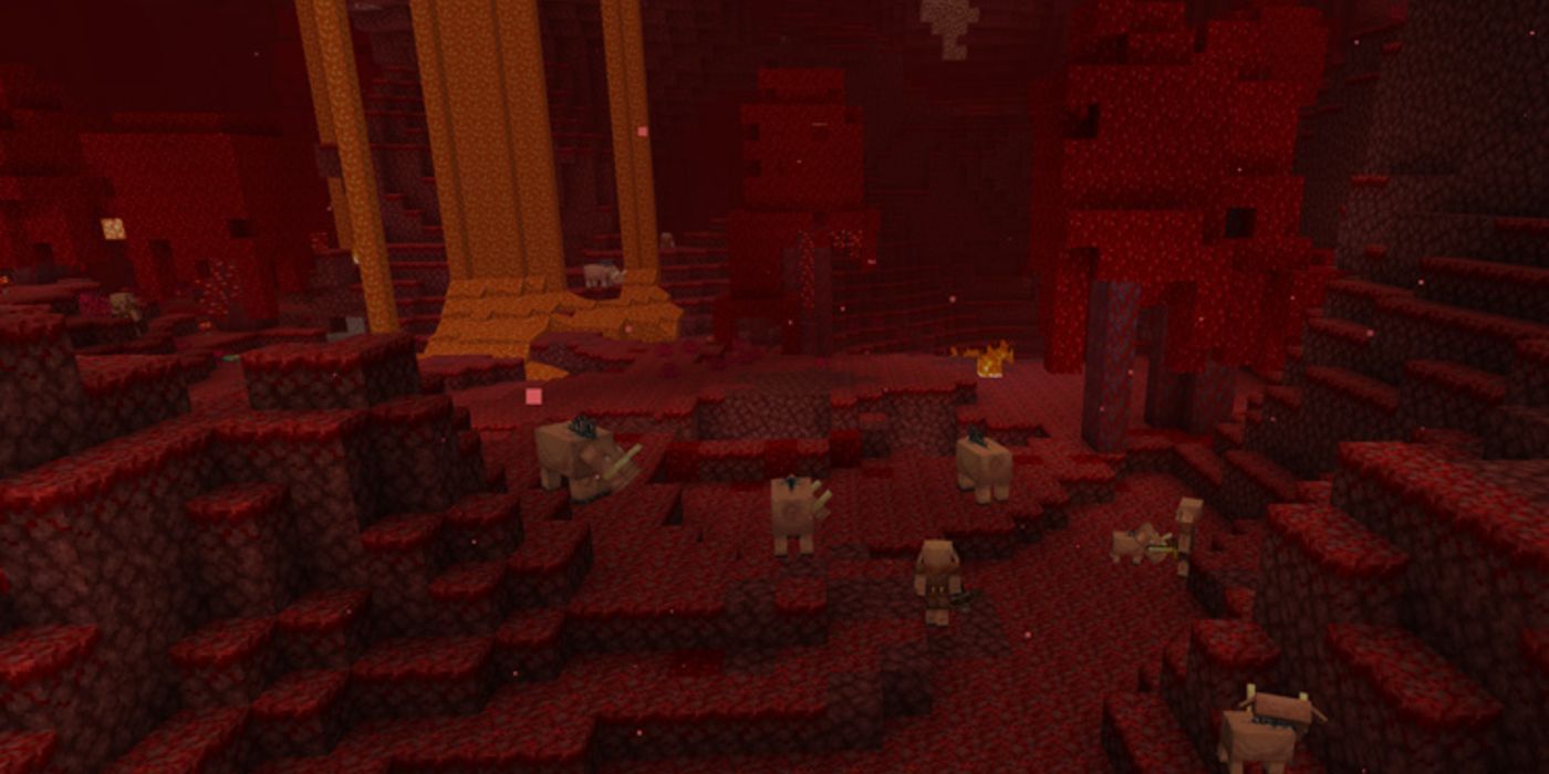 Red Nether biome